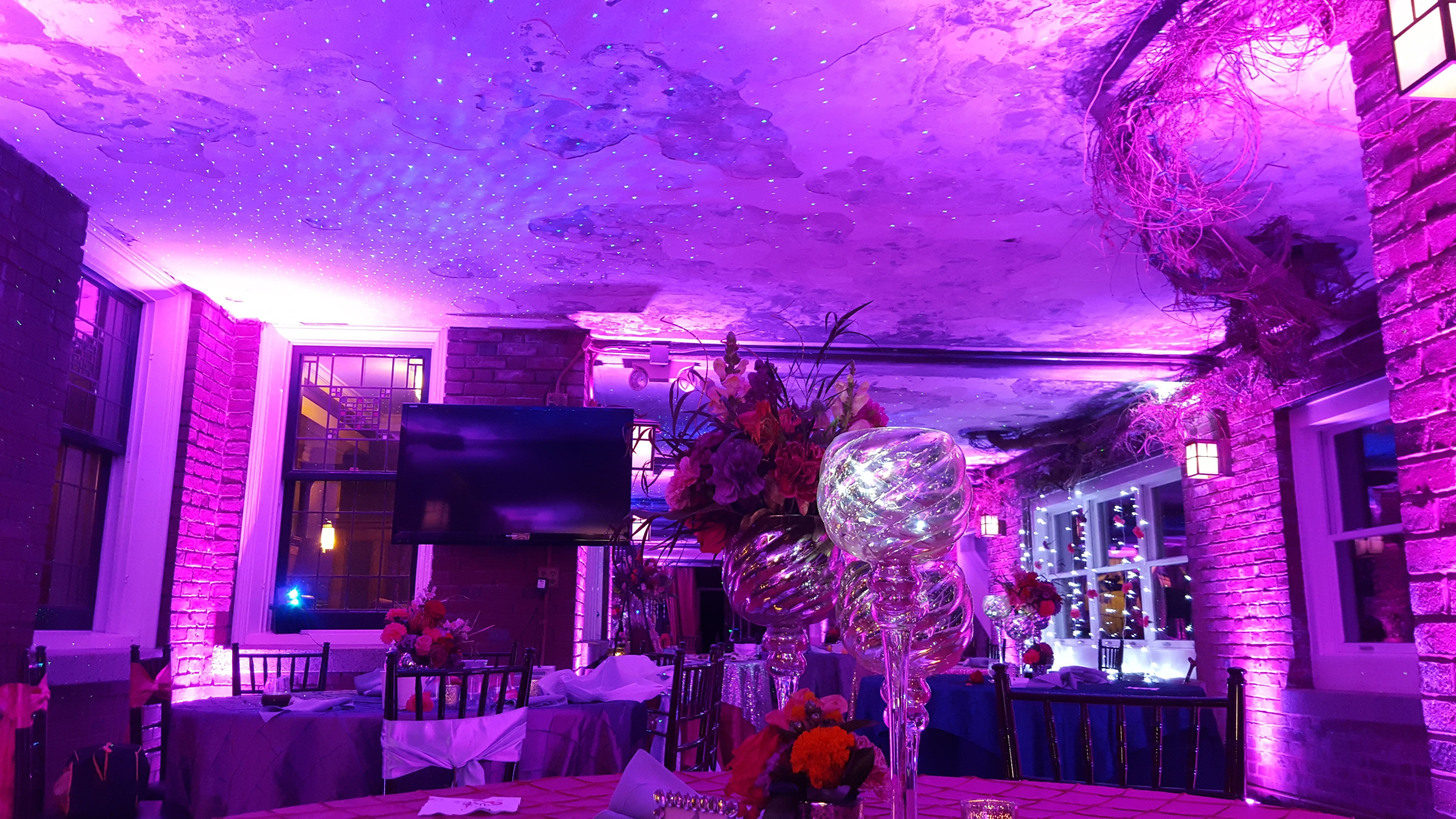 Wedding lighting in the Glensheen Winter Garden. Up lighting in magenta purple with stars on the ceiling.